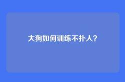 大狗如何训练不扑人？