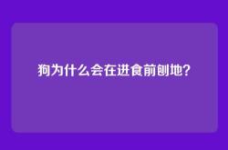 狗为什么会在进食前刨地？