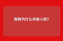 狗狗为什么会舔人脸？