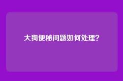 大狗便秘问题如何处理？