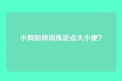 小狗如何训练定点大小便？