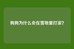 狗狗为什么会在雪地里打滚？