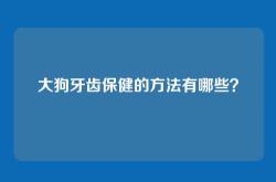 大狗牙齿保健的方法有哪些？