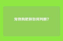 宠物狗肥胖如何判断？