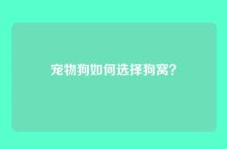 宠物狗如何选择狗窝？