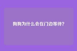 狗狗为什么会在门边等待？