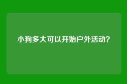 小狗多大可以开始户外活动？
