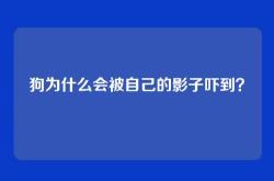 狗为什么会被自己的影子吓到？