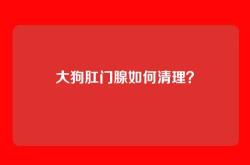 大狗肛门腺如何清理？