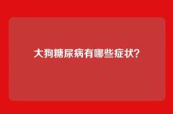 大狗糖尿病有哪些症状？