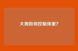 大狗如何控制体重？