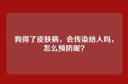 狗得了皮肤病，会传染给人吗，怎么预防呢？