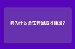 狗为什么会在转圈后才睡觉？