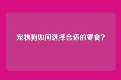 宠物狗如何选择合适的零食？