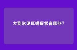 大狗常见耳螨症状有哪些？