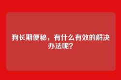 狗长期便秘，有什么有效的解决办法呢？