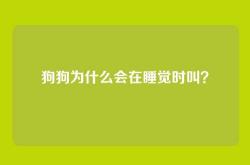 狗狗为什么会在睡觉时叫？