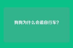 狗狗为什么会追自行车？