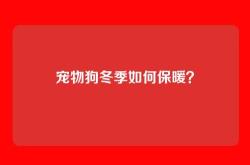 宠物狗冬季如何保暖？