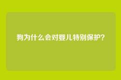 狗为什么会对婴儿特别保护？
