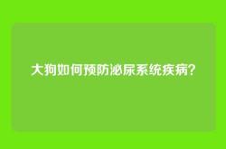 大狗如何预防泌尿系统疾病？