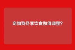 宠物狗冬季饮食如何调整？
