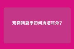 宠物狗夏季如何清洁耳朵？