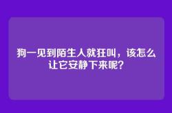 狗一见到陌生人就狂叫，该怎么让它安静下来呢？