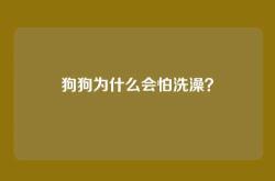 狗狗为什么会怕洗澡？