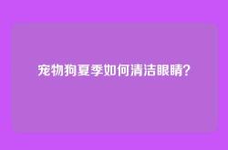 宠物狗夏季如何清洁眼睛？