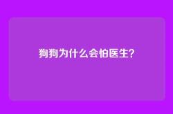 狗狗为什么会怕医生？