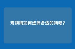 宠物狗如何选择合适的狗粮？