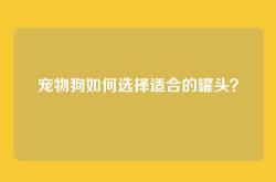 宠物狗如何选择适合的罐头？