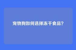 宠物狗如何选择冻干食品？