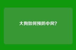 大狗如何预防中风？