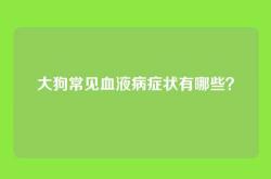 大狗常见血液病症状有哪些？