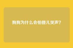 狗狗为什么会怕婴儿哭声？