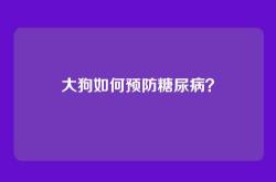 大狗如何预防糖尿病？