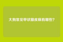 大狗常见甲状腺疾病有哪些？