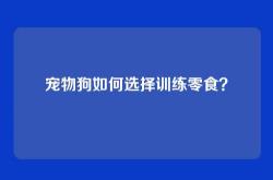 宠物狗如何选择训练零食？