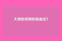 大狗如何预防高血压？