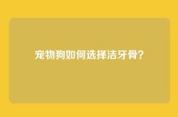 宠物狗如何选择洁牙骨？