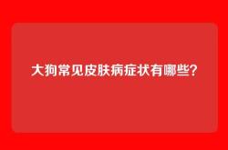 大狗常见皮肤病症状有哪些？