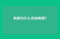 狗狗为什么会怕烤箱？
