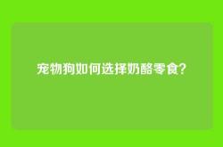 宠物狗如何选择奶酪零食？