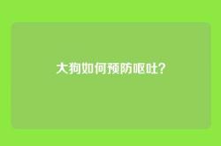 大狗如何预防呕吐？