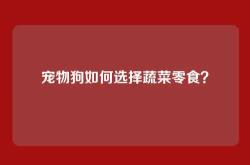 宠物狗如何选择蔬菜零食？