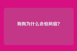 狗狗为什么会怕风扇？