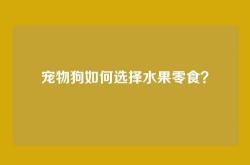 宠物狗如何选择水果零食？