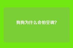 狗狗为什么会怕空调？